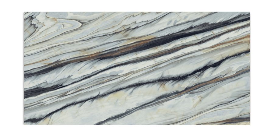 Oyster Wild Forest